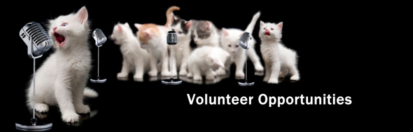 Volunteers-Banner.jpg